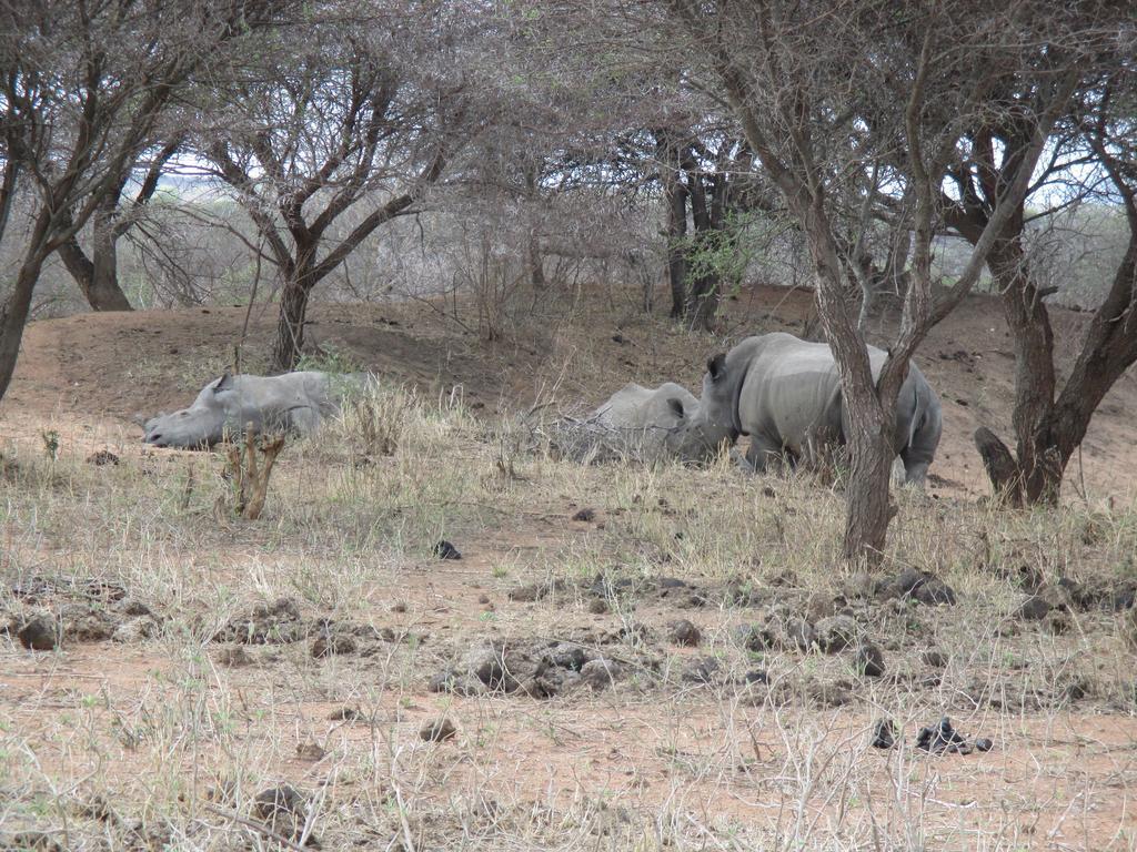 Tshukudu Game Lodge - Hoedspruit Luaran gambar