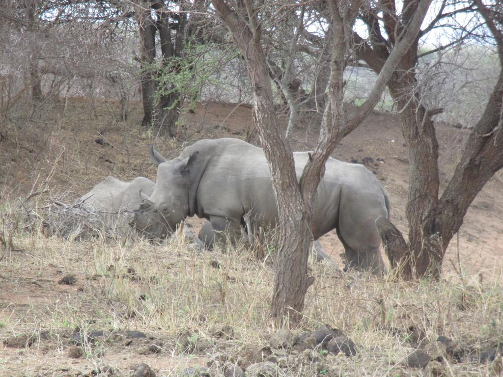 Tshukudu Game Lodge - Hoedspruit Luaran gambar