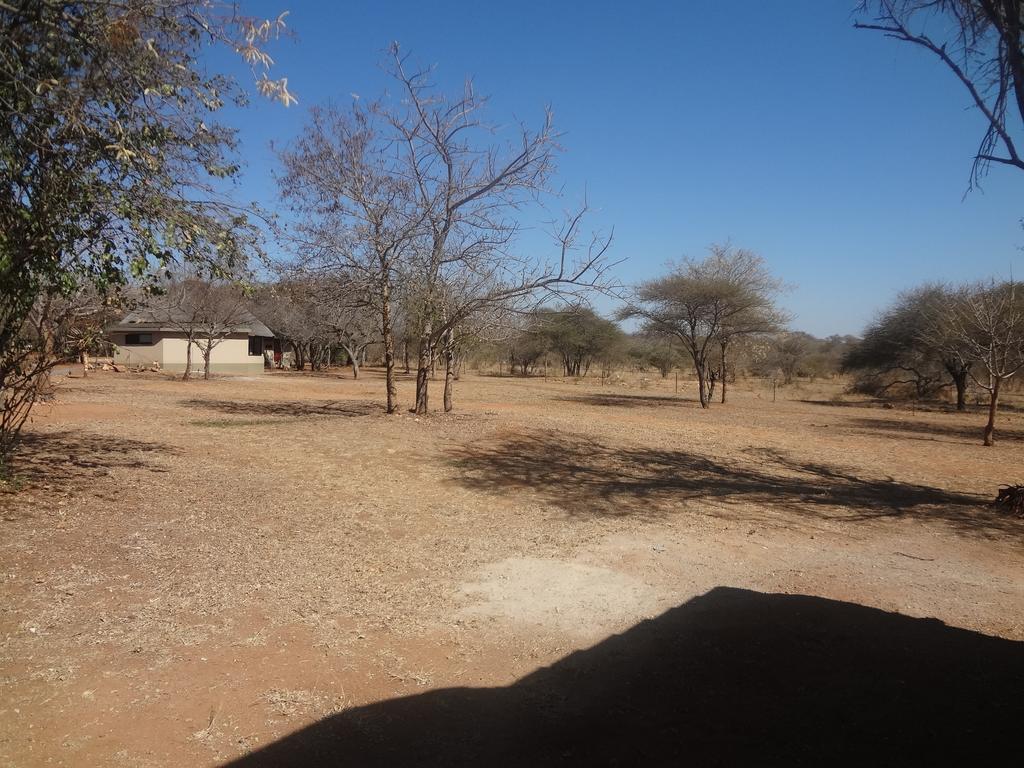 Tshukudu Game Lodge - Hoedspruit Bilik gambar