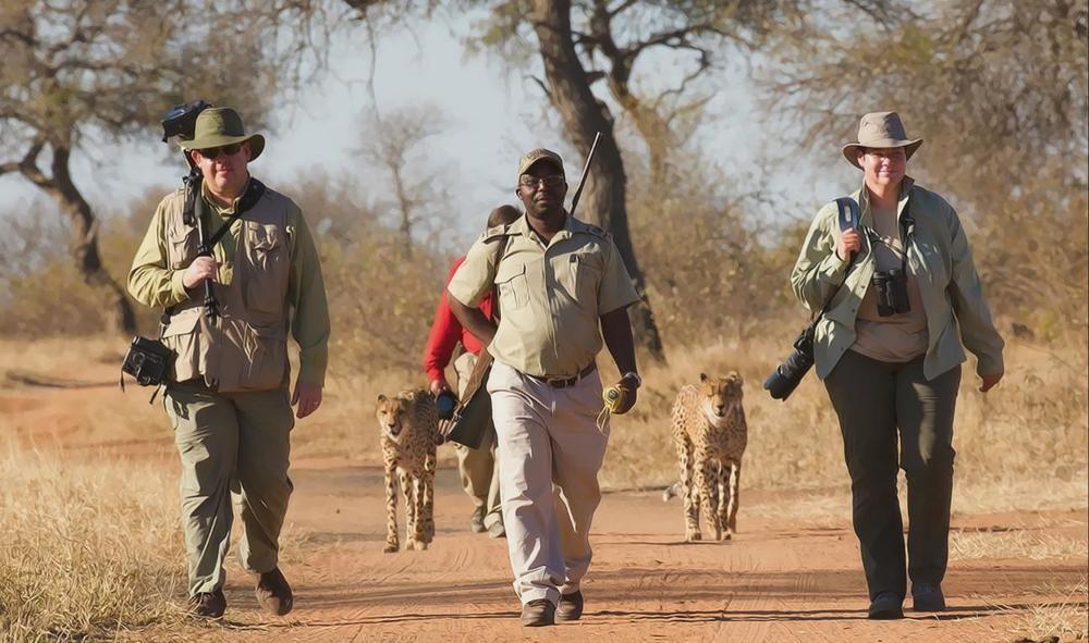 Tshukudu Game Lodge - Hoedspruit Luaran gambar