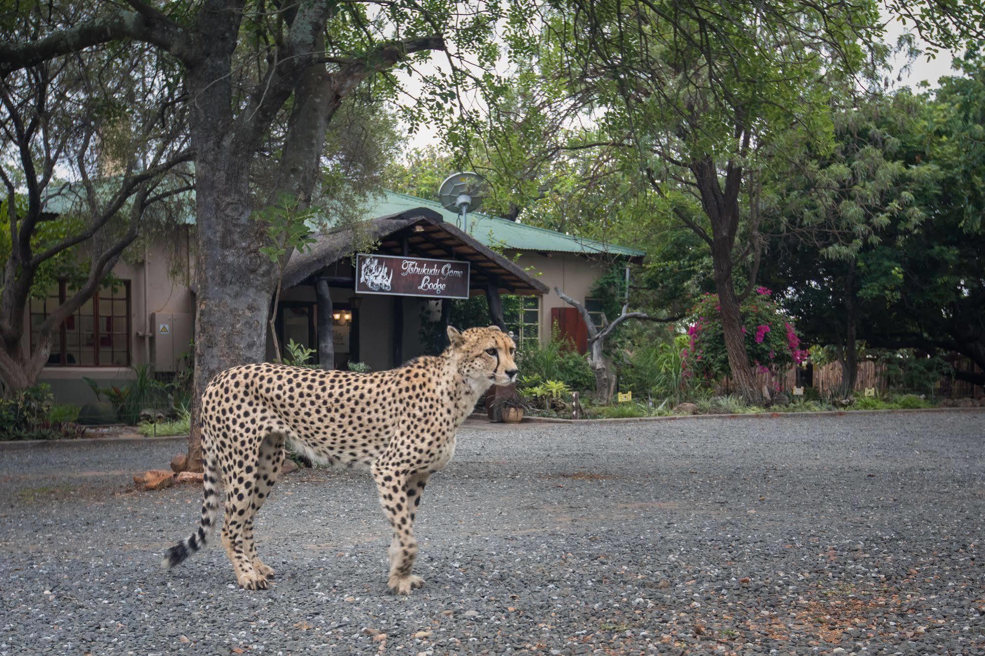 Tshukudu Game Lodge - Hoedspruit Luaran gambar