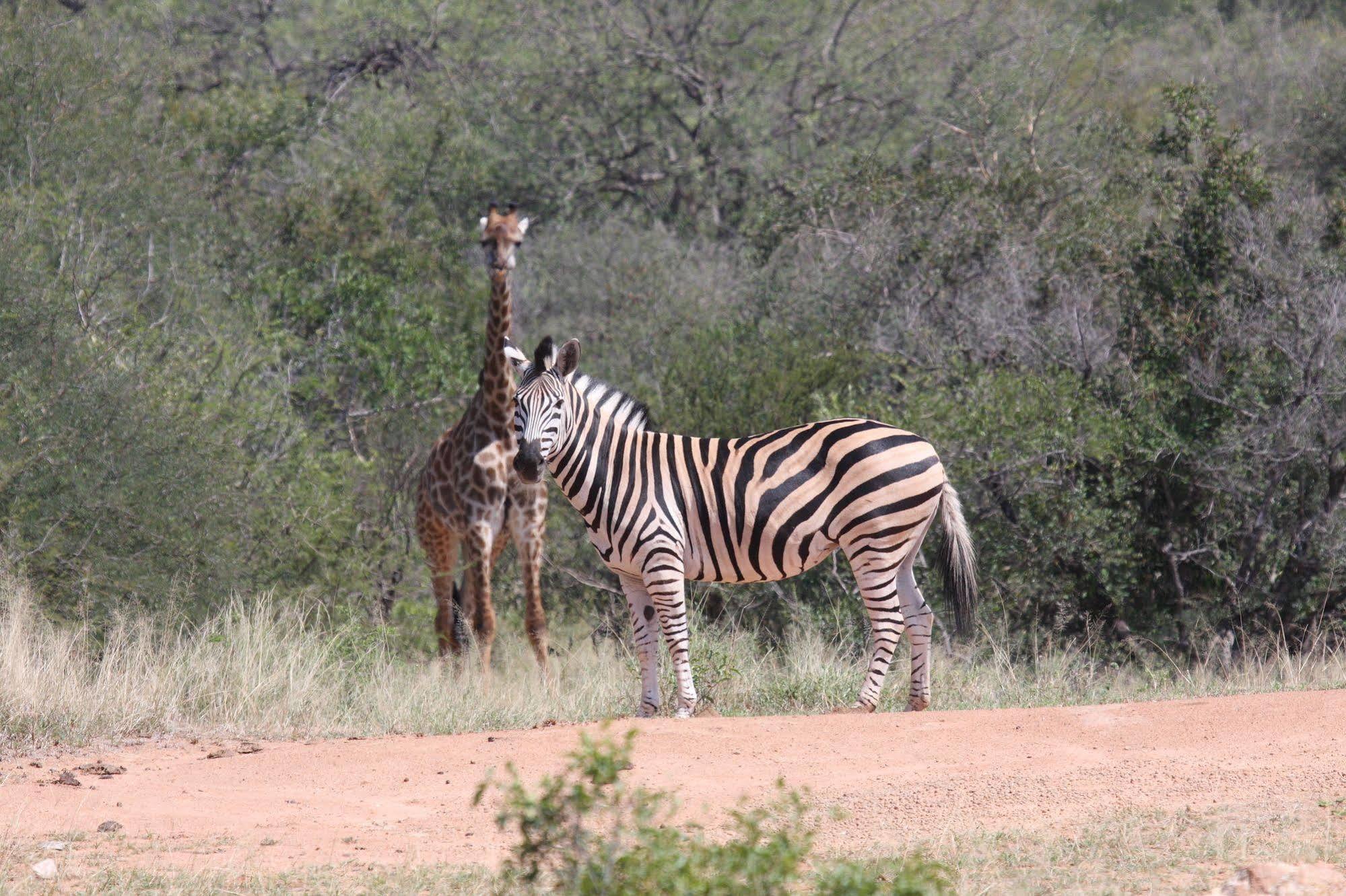 Tshukudu Game Lodge - Hoedspruit Luaran gambar