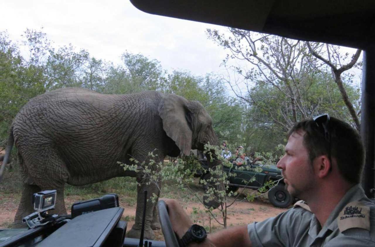 Tshukudu Game Lodge - Hoedspruit Luaran gambar